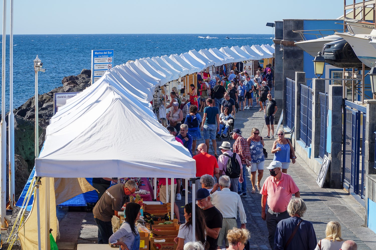 🎨✨ Descubre el plan perfecto para tus viernes en el sur de Tenerife